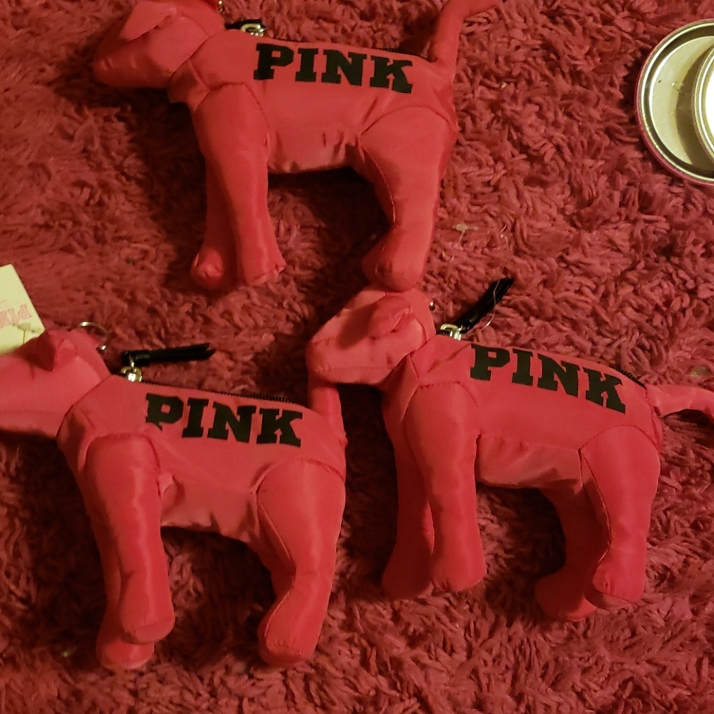 Vs pink dog with tote inside